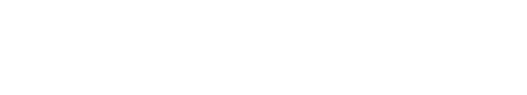Profesjonalny transport - Twoja firma logistyczna
